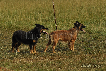 Verschiedene Altdeutsche zusammen / Bild 24 von 72 / 07.09.2019 14:18 / DSC_8518.JPG