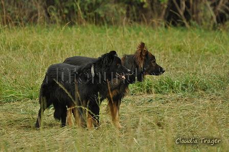 Verschiedene Altdeutsche zusammen / Bild 20 von 72 / 08.09.2019 14:24 / DSC_1996.JPG