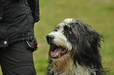 Altdeutscher Mix / Bild 35 von 44 / 10.03.2019 10:54 / DSC_2542.JPG