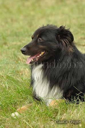 Altdeutscher Mix / Bild 32 von 44 / 28.07.2019 12:27 / DSC_7388.JPG