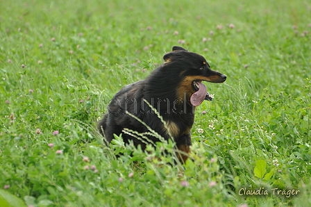 Gelbbacke / Bild 291 von 500 / 23.07.2017 10:04 / DSC_2891.JPG