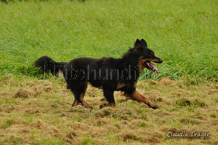 Gelbbacke / Bild 274 von 500 / 09.09.2017 09:47 / DSC_9714.JPG