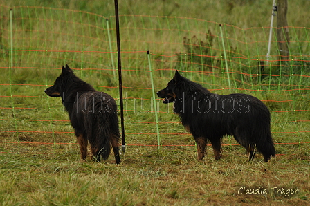 Gelbbacke / Bild 250 von 500 / 10.09.2017 10:41 / DSC_4089.JPG