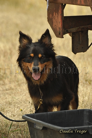 Gelbbacke / Bild 195 von 500 / 29.07.2018 13:52 / DSC_9487.JPG