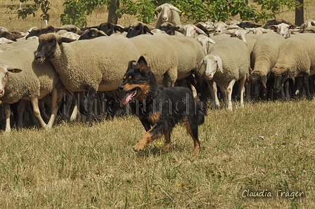 Gelbbacke / Bild 192 von 500 / 29.07.2018 14:11 / DSC_9638.JPG