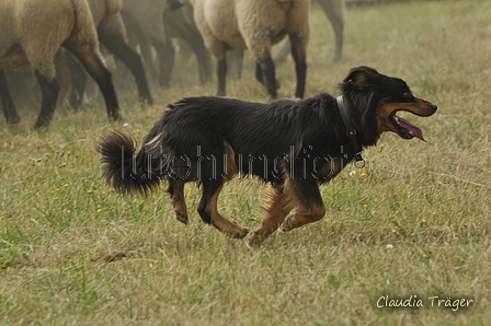 Gelbbacke / Bild 191 von 500 / 29.07.2018 14:13 / DSC_9666.JPG