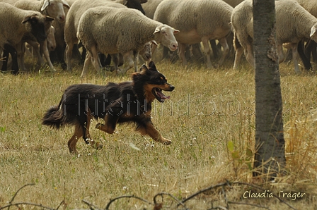 Gelbbacke / Bild 181 von 500 / 29.07.2018 14:19 / DSC_9874.JPG