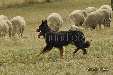 Gelbbacke / Bild 173 von 500 / 29.07.2018 14:26 / DSC_0056.JPG