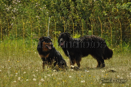 Gelbbacke / Bild 140 von 500 / 28.07.2019 11:39 / DSC_6717.JPG