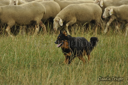 Gelbbacke / Bild 110 von 500 / 08.09.2019 11:23 / DSC_0419.JPG