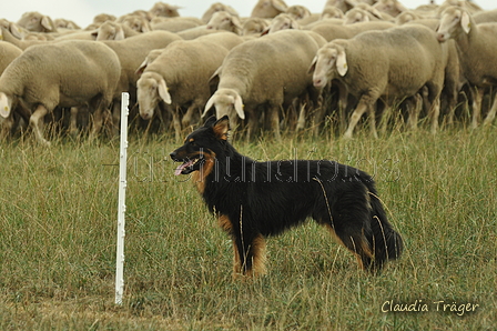 Gelbbacke / Bild 109 von 500 / 08.09.2019 11:23 / DSC_0427.JPG