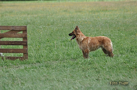 Harzer Fuchs / Bild 686 von 755 / 25.07.2010 12:44 / DSC_7454.JPG