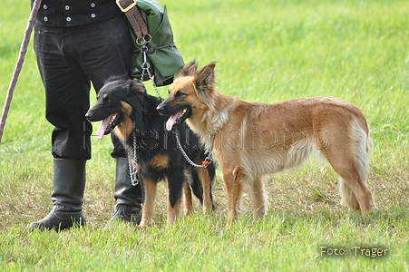 Harzer Fuchs / Bild 659 von 755 / 12.09.2010 14:42 / DSC_6732.JPG