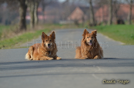 Harzer Fuchs / Bild 267 von 755 / 25.03.2017 11:41 / DSC_6512.JPG