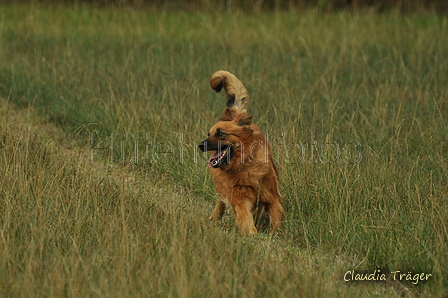 Harzer Fuchs / Bild 185 von 755 / 07.09.2019 15:19 / DSC_8911.JPG