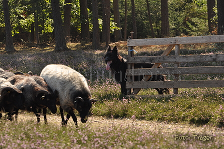 Schwarzer / Bild 128 von 225 / 22.08.2015 11:10 / DSC_3458.JPG