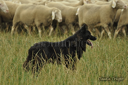 Schwarzer / Bild 42 von 225 / 07.09.2019 09:06 / DSC_5679.JPG