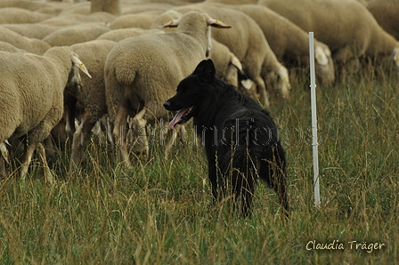 Schwarzer / Bild 39 von 225 / 07.09.2019 09:44 / DSC_5832.JPG