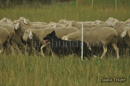 Schwarzer / Bild 36 von 225 / 07.09.2019 15:17 / DSC_8866.JPG