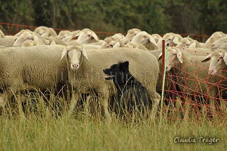 Schwarzer / Bild 35 von 225 / 08.09.2019 13:00 / DSC_1324.JPG