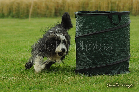 Bearded Collie / Bild 2 von 38 / 19.07.2020 15:21 / DSC_0220.JPG