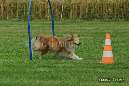 Sheltie / Bild 8 von 22 / 18.07.2020 13:24 / DSC_8100.JPG