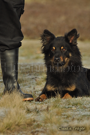 Schäfer Koch / Bild 36 von 38 / 20.01.2019 12:19 / DSC_9060.JPG