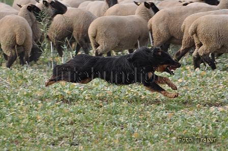 AAH Bundeshüten 2014 / Bild 56 von 175 / 20.09.2014 15:06 / DSC_4385.JPG