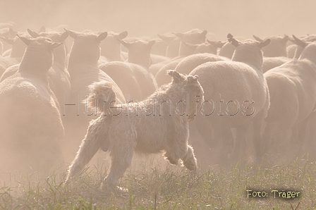 AAH Bundeshüten 2014 / Bild 70 von 175 / 20.09.2014 16:03 / DSC_4886.JPG