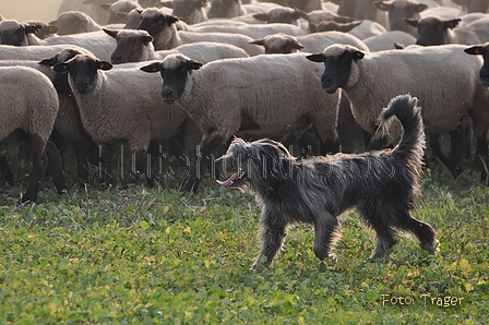 AAH Bundeshüten 2014 / Bild 80 von 175 / 20.09.2014 17:25 / DSC_5773.JPG