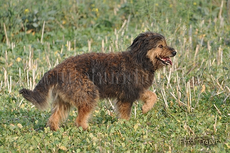 AAH Bundeshüten 2014 / Bild 81 von 175 / 20.09.2014 17:29 / DSC_5888.JPG