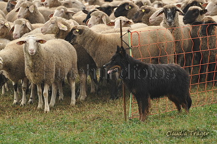 AAH Bundeshüten 2016 / Bild 5 von 163 / 17.09.2016 10:01 / DSC_0652.JPG