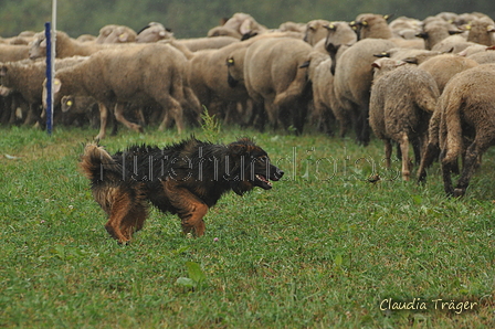 AAH Bundeshüten 2016 / Bild 8 von 163 / 17.09.2016 13:19 / DSC_0918.JPG