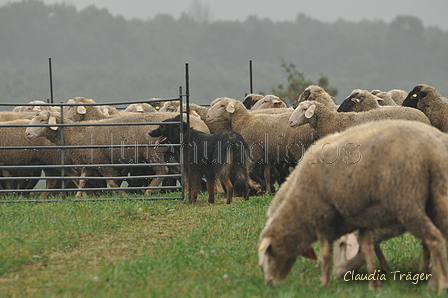 AAH Bundeshüten 2016 / Bild 9 von 163 / 17.09.2016 13:20 / DSC_0946.JPG