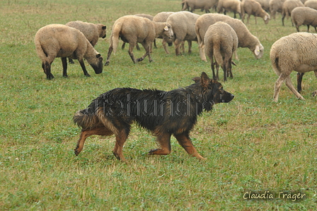 AAH Bundeshüten 2016 / Bild 10 von 163 / 17.09.2016 13:22 / DSC_0988.JPG