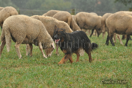 AAH Bundeshüten 2016 / Bild 12 von 163 / 17.09.2016 13:25 / DSC_1058.JPG