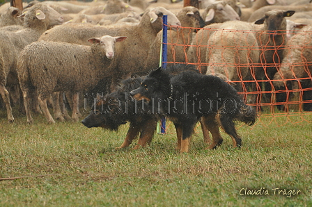 AAH Bundeshüten 2016 / Bild 17 von 163 / 17.09.2016 13:42 / DSC_1287.JPG