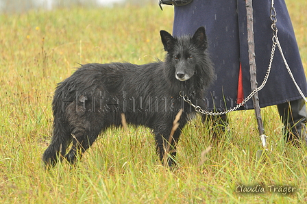 AAH Bundeshüten 2016 / Bild 19 von 163 / 17.09.2016 13:52 / DSC_1340.JPG