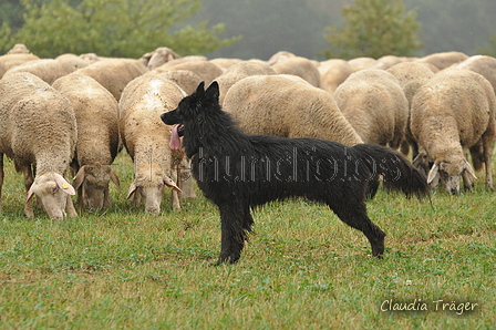 AAH Bundeshüten 2016 / Bild 24 von 163 / 17.09.2016 14:31 / DSC_1733.JPG