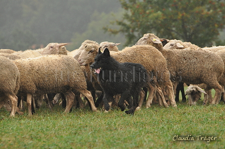 AAH Bundeshüten 2016 / Bild 25 von 163 / 17.09.2016 14:33 / DSC_1771.JPG