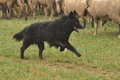 AAH Bundeshüten 2016 / Bild 27 von 163 / 17.09.2016 14:42 / DSC_1957.JPG