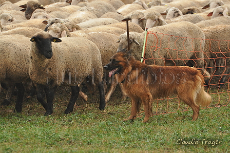 AAH Bundeshüten 2016 / Bild 33 von 163 / 17.09.2016 15:17 / DSC_2181.JPG