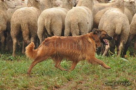 AAH Bundeshüten 2016 / Bild 34 von 163 / 17.09.2016 15:28 / DSC_2429.JPG