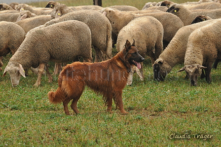 AAH Bundeshüten 2016 / Bild 46 von 163 / 17.09.2016 15:55 / DSC_2825.JPG