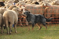 AAH Bundeshüten 2016 / Bild 58 von 163 / 18.09.2016 08:50 / DSC_3549.JPG