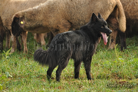 AAH Bundeshüten 2016 / Bild 64 von 163 / 18.09.2016 09:14 / DSC_3749.JPG