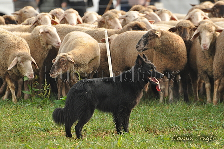 AAH Bundeshüten 2016 / Bild 65 von 163 / 18.09.2016 09:15 / DSC_3757.JPG