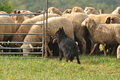 AAH Bundeshüten 2016 / Bild 69 von 163 / 18.09.2016 09:18 / DSC_3836.JPG