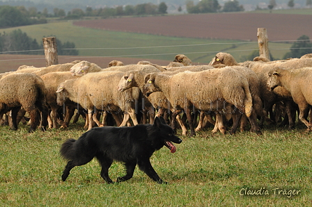 AAH Bundeshüten 2016 / Bild 73 von 163 / 18.09.2016 09:32 / DSC_4031.JPG