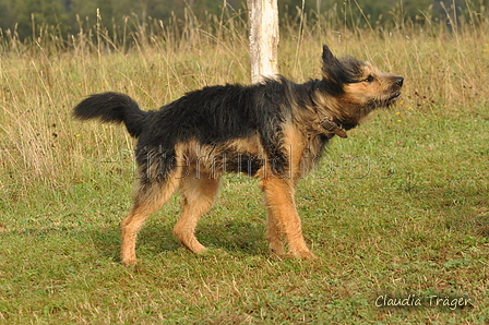 AAH Bundeshüten 2016 / Bild 74 von 163 / 18.09.2016 09:43 / DSC_4107.JPG